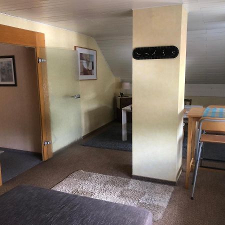 Ironico Homestay 4 Schlafzimmer Ferienwohnung 100 M2 Nahe Bostalsee Eisen  Eksteriør billede