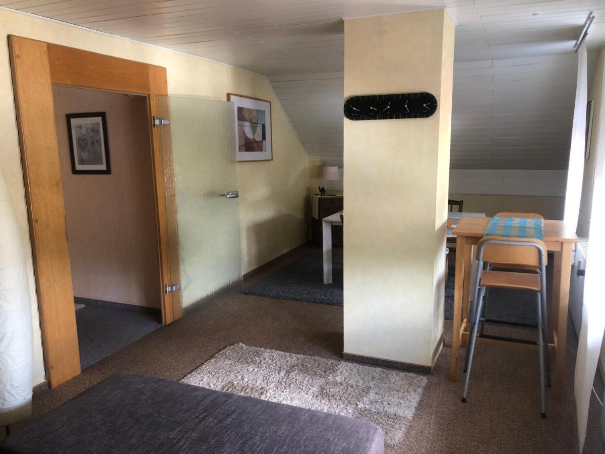Ironico Homestay 4 Schlafzimmer Ferienwohnung 100 M2 Nahe Bostalsee Eisen  Eksteriør billede