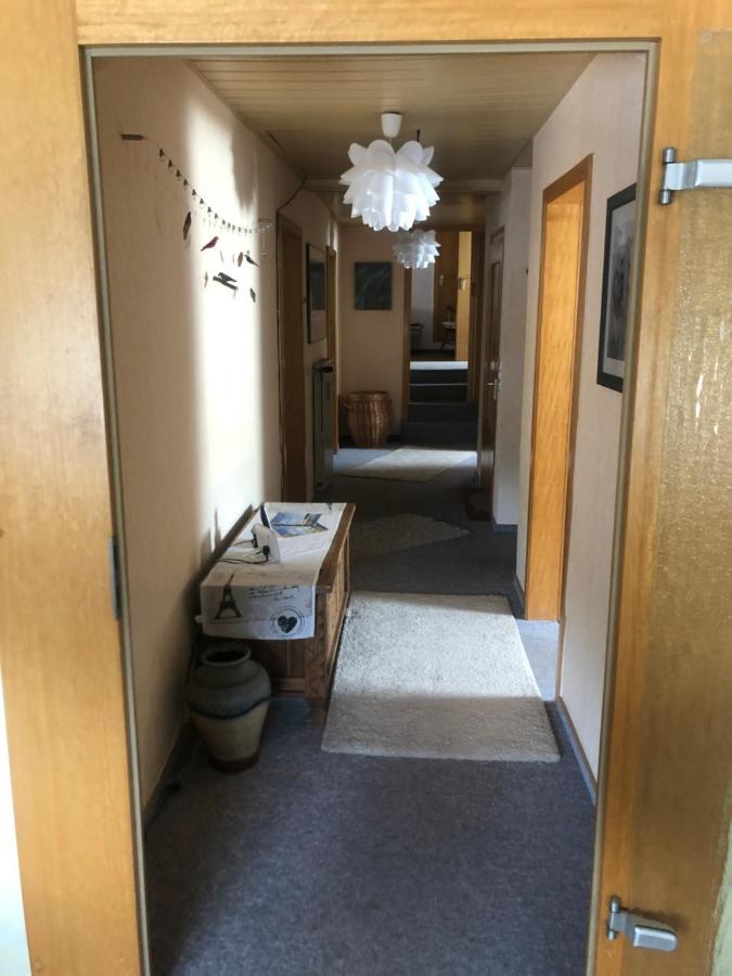 Ironico Homestay 4 Schlafzimmer Ferienwohnung 100 M2 Nahe Bostalsee Eisen  Eksteriør billede